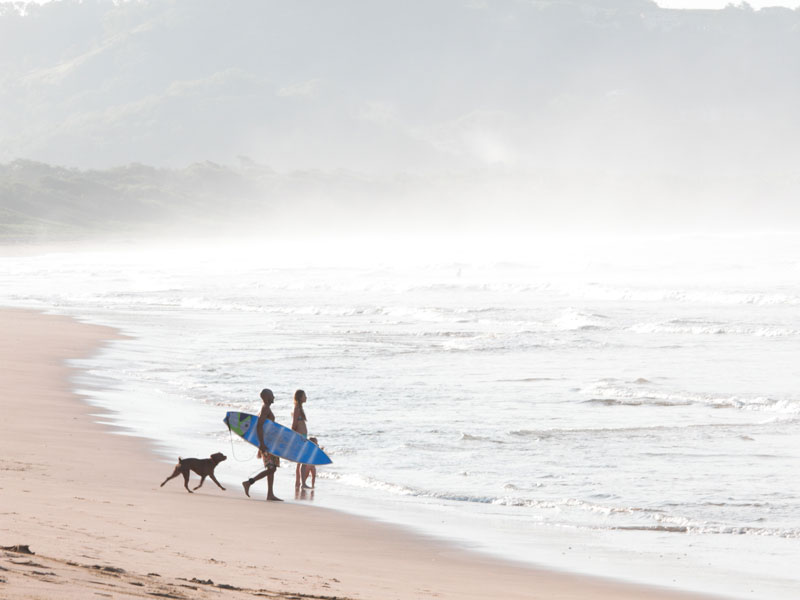 A group of people walking along a beach with a dog.
